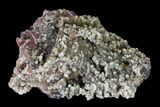 Mimetite Crystal Cluster - Congo #148488-2